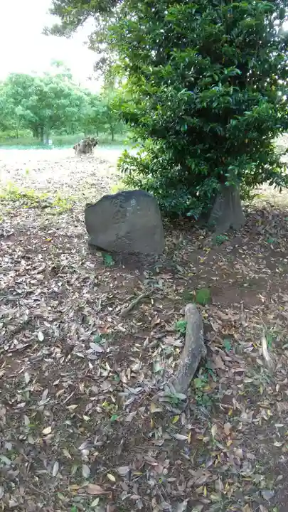 鹿嶋神社の自然