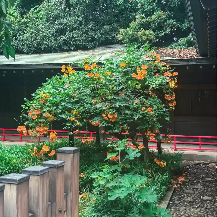 代々木八幡宮(東京都)