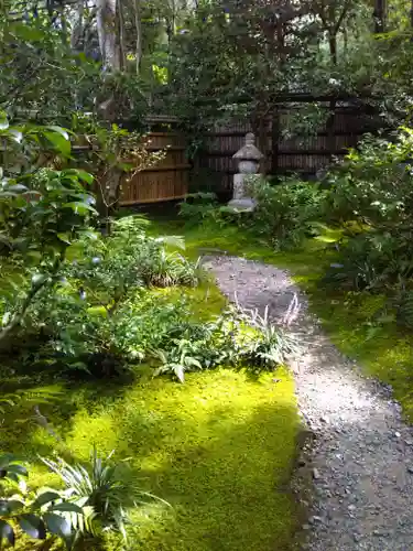 祇王寺の庭園