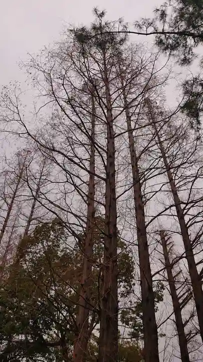 阿部野神社の自然