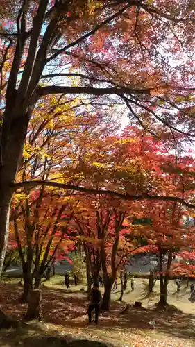 土津神社｜こどもと出世の神さまの自然