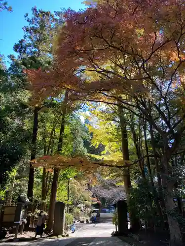 桂昌庵（円覚寺塔頭）のその他建物