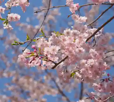 今市報徳二宮神社(栃木県)