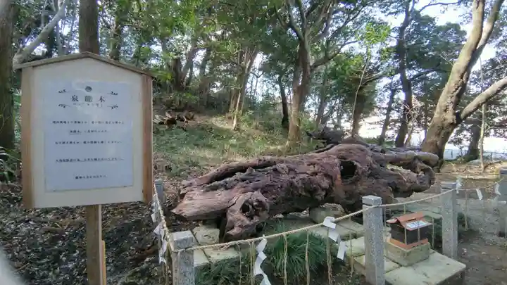 泉神社(茨城県)