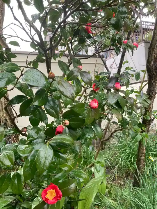 元興寺(奈良県)