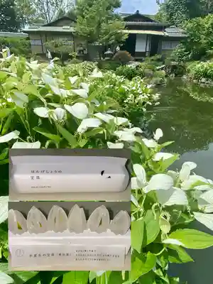 両足院(京都府)