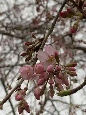 通安寺(福井県)