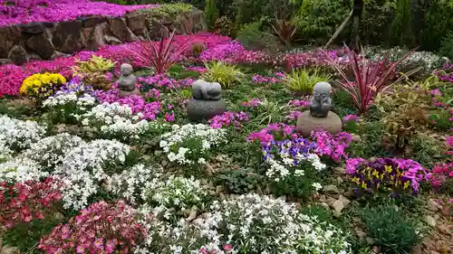 寿量山　速成寺の自然