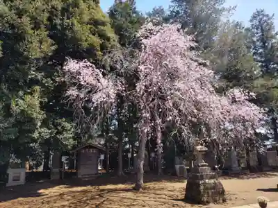 伏木香取神社の自然