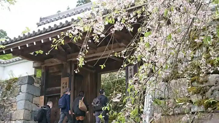 三千院門跡の山門・神門