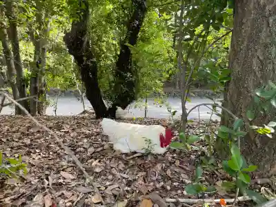 熱田神宮の{uncategorized: "未分類", other: "その他", undefined: "問題あり", building: "その他建物", grave: "お墓", sacred_gate: "鳥居", guardian: "狛犬", statue: "像", buddha: "仏像", history: "歴史", nature: "自然", garden: "庭園", animal: "動物", pagoda: "塔", temizu: "手水舎", mountain_gate: "山門・神門", sanctuary: "本殿・本堂", subordinate: "末社・摂社", art: "芸術", scenery: "景色", jizo: "地蔵", ema: "絵馬", goshuin: "御朱印", omikuji: "おみくじ", items: "授与品その他", amulet: "お守り", goshuincho: "御朱印帳", eats: "食事", festival: "お祭り", votive_dance: "神楽", shichigosan: "七五三参", wedding: "結婚式", experience: "体験その他", initially: "初詣", around: "周辺", anti_infection: "感染症対策"}