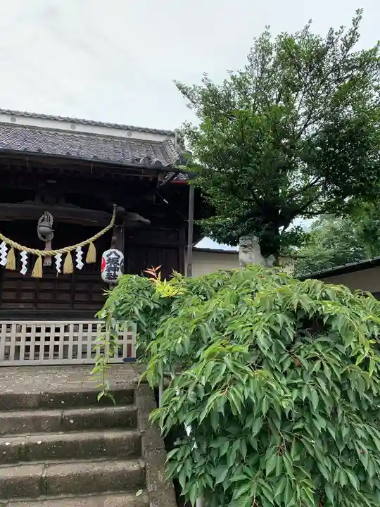 富田八坂神社の狛犬