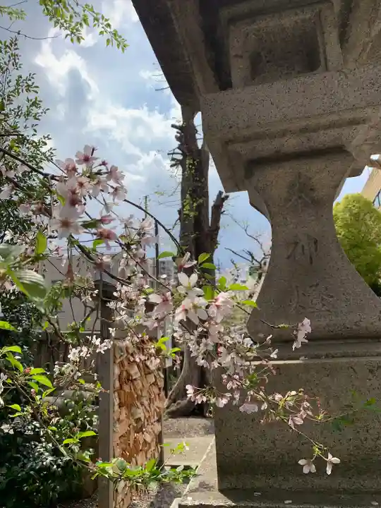 氷川鍬神社(埼玉県)