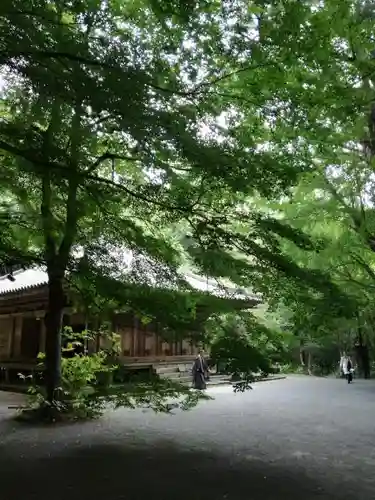 富貴寺の建物その他