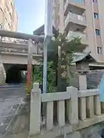 長崎大神宮の鳥居