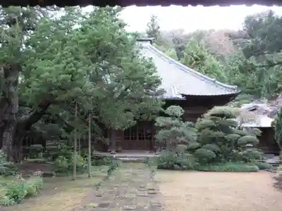 寿福寺の本殿・本堂