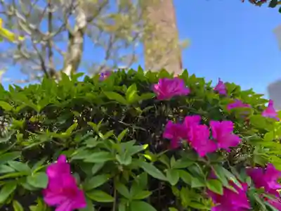 松本山　地福禅寺の自然