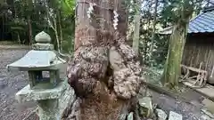 八幡神社(兵庫県)