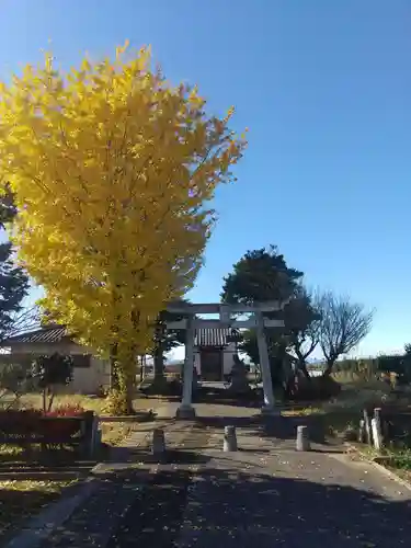 剱神社 (埼玉県)