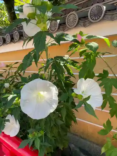 中山寺(兵庫県)