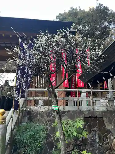 東京大神宮(東京都)