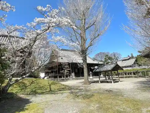 本誓寺(東本誓寺)(滋賀県)