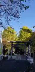 王子白髭神社の鳥居