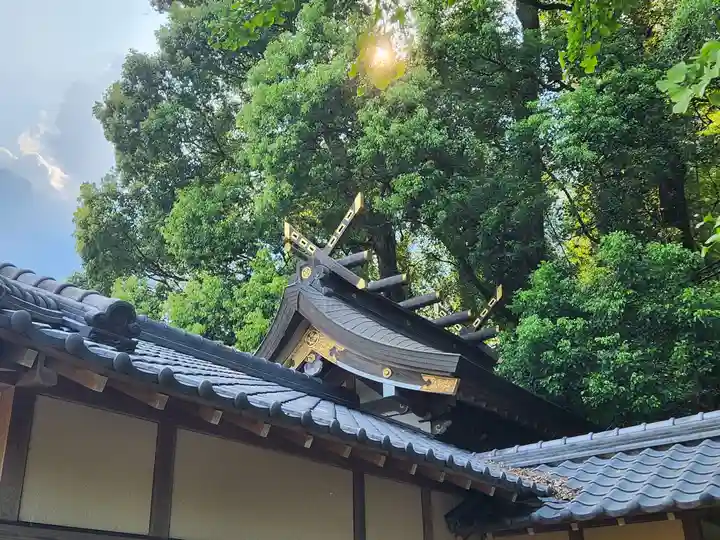 南方神社の本殿・本堂