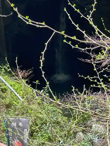 仙龍寺(愛媛県)