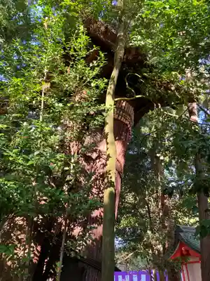 北野天満宮(京都府)