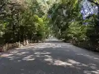 明治神宮(東京都)