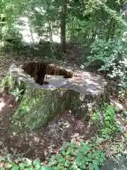 猿投神社の自然