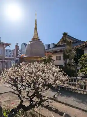 福王山  慈眼寺(東京都)
