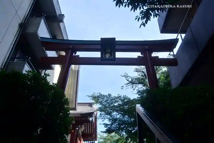神田神社(神田明神)の鳥居