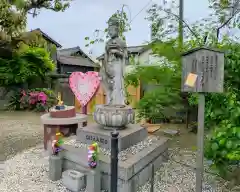 四季桜の寺 妙乗院(愛知県)