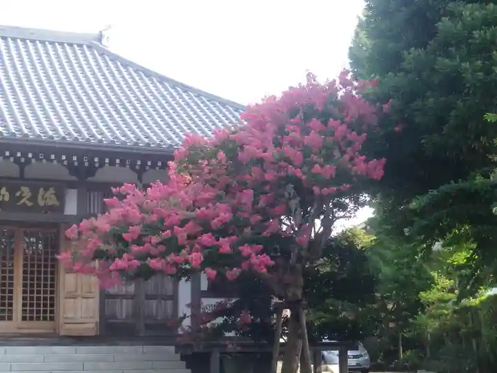 長谷寺のその他建物
