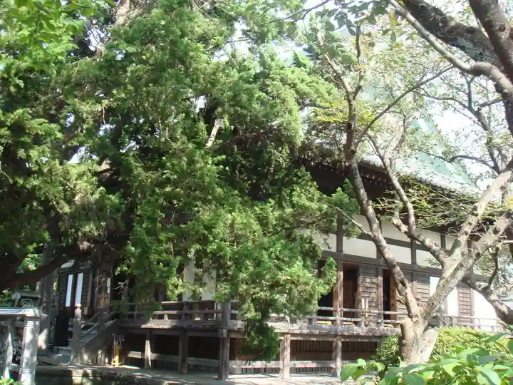 宝戒寺の本殿・本堂