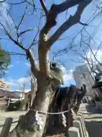 阿邪訶根神社(福島県)