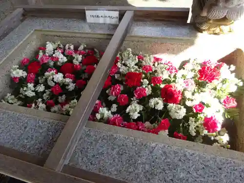 比々多神社の手水舎