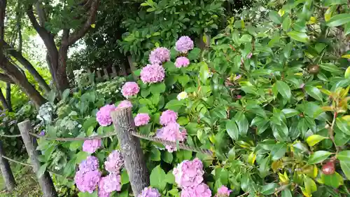 六孫王神社(京都府)