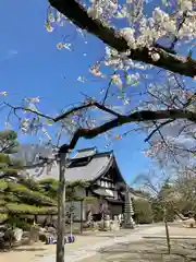 興禅寺の建物その他