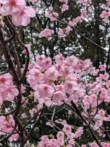 妙法寺(東京都)