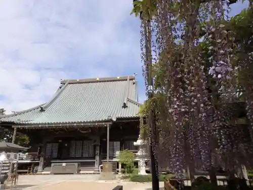 妙福寺の本殿・本堂