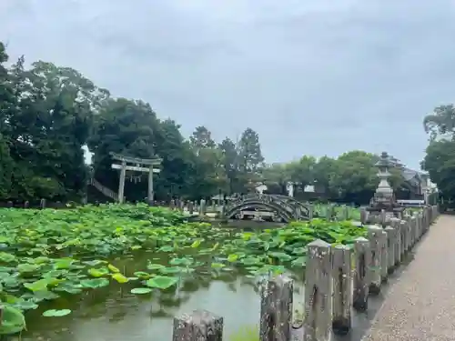 伊賀八幡宮(愛知県)