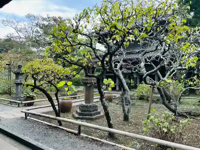 英勝寺(神奈川県)
