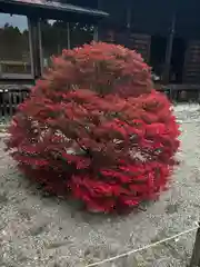 青葉神社(宮城県)