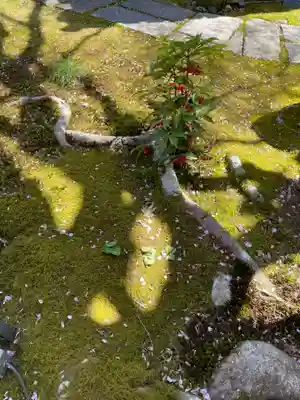 往生院(京都府)