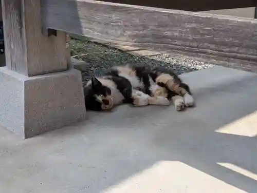 西泉寺(福島県)