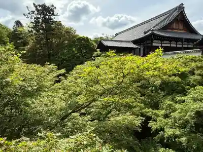 東福禅寺(東福寺)(京都府)