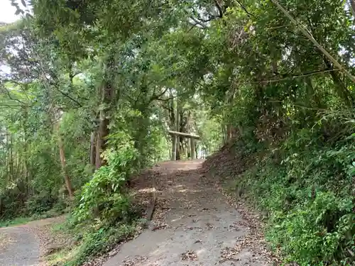 皇大神社の鳥居